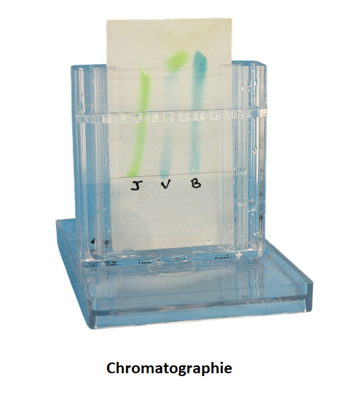 Smart'Cuv® cuve polyvalente incassable