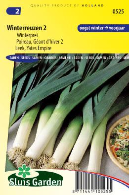 Sachet graines de poireau