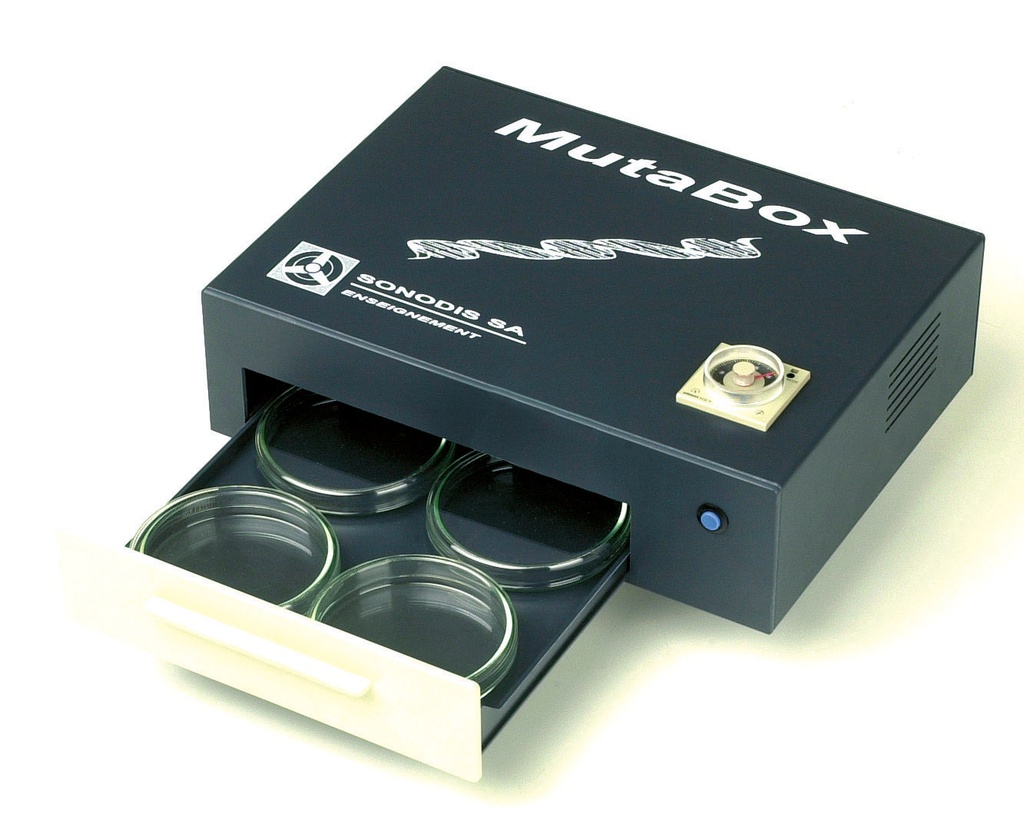 Mutabox lampe UV 254 nm