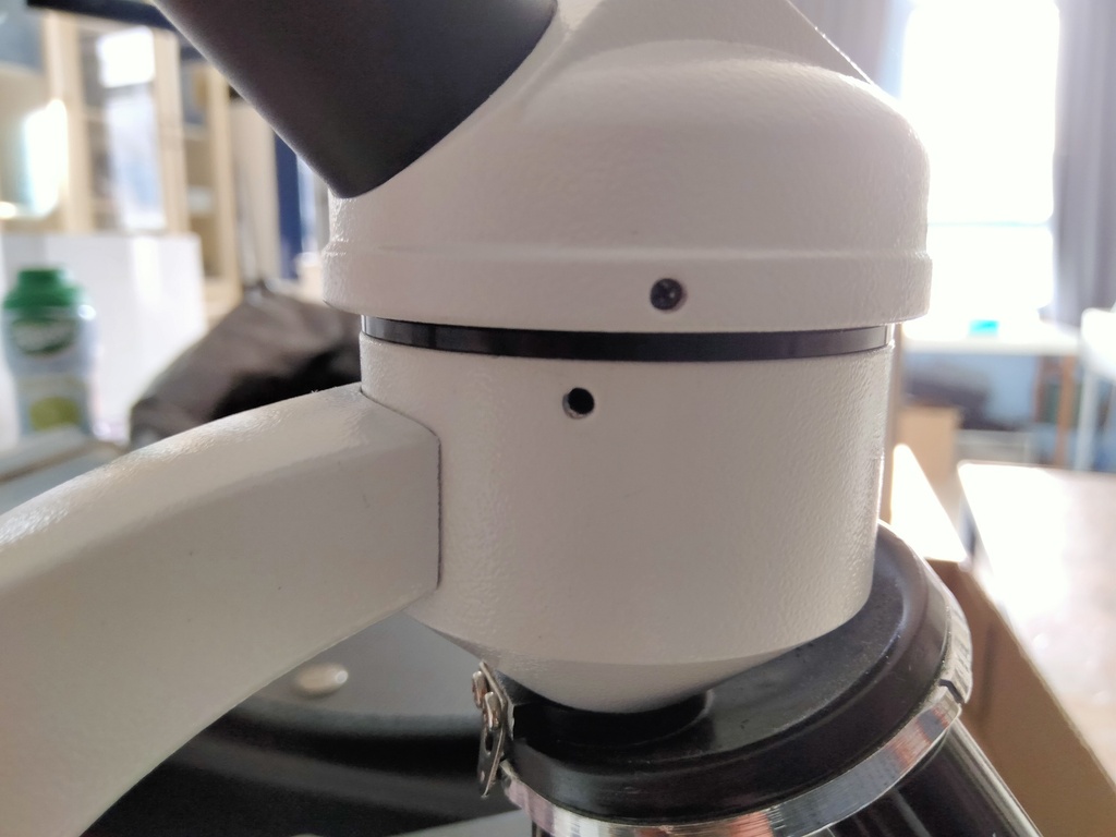 Vis pour tête microscope Novex Junior (lot de 10)