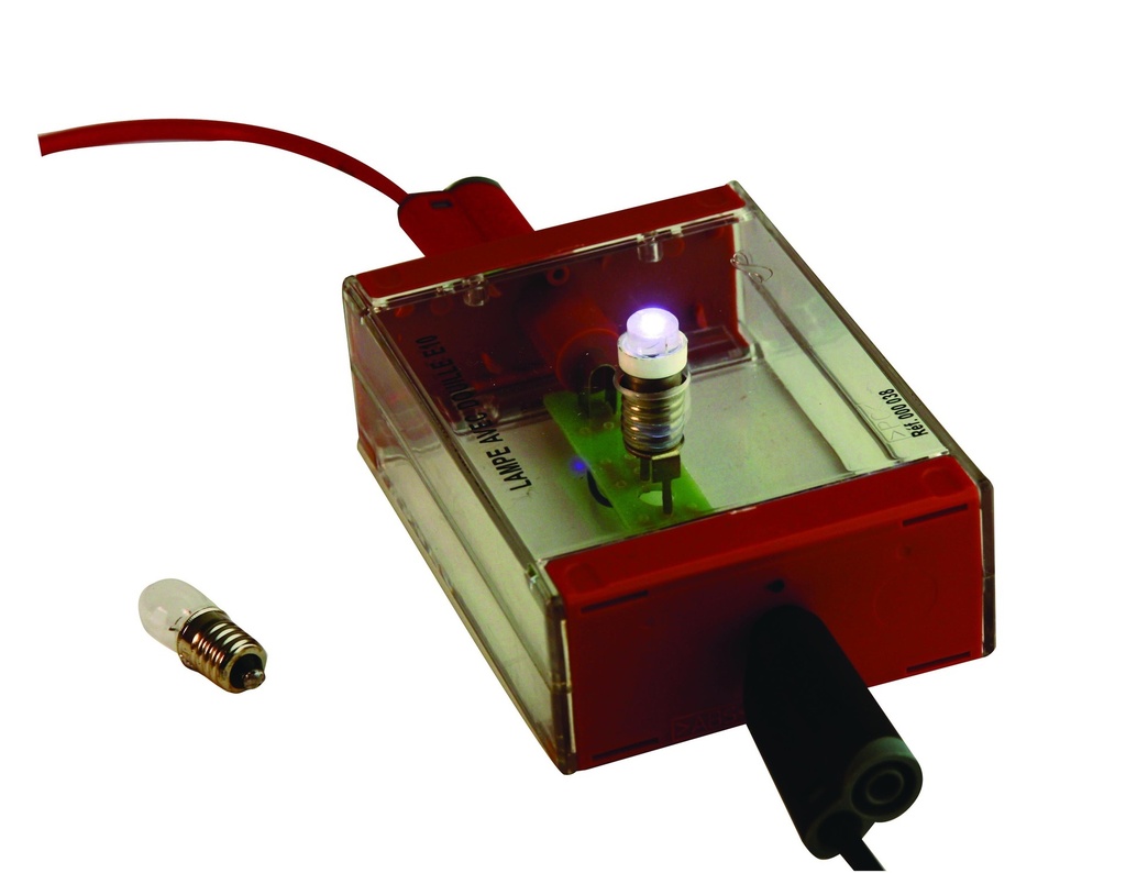 Ampoules LED 3V culot E10 (lot de 10)