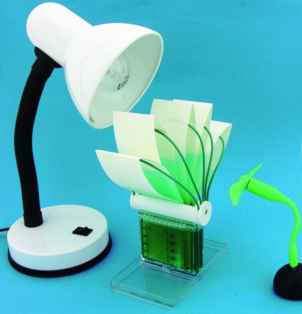 Maquette Évapotranspiration