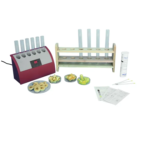 thermotubes-bain-marie-environnement-expérience-2-210010-sonodis-sciencethic.webp