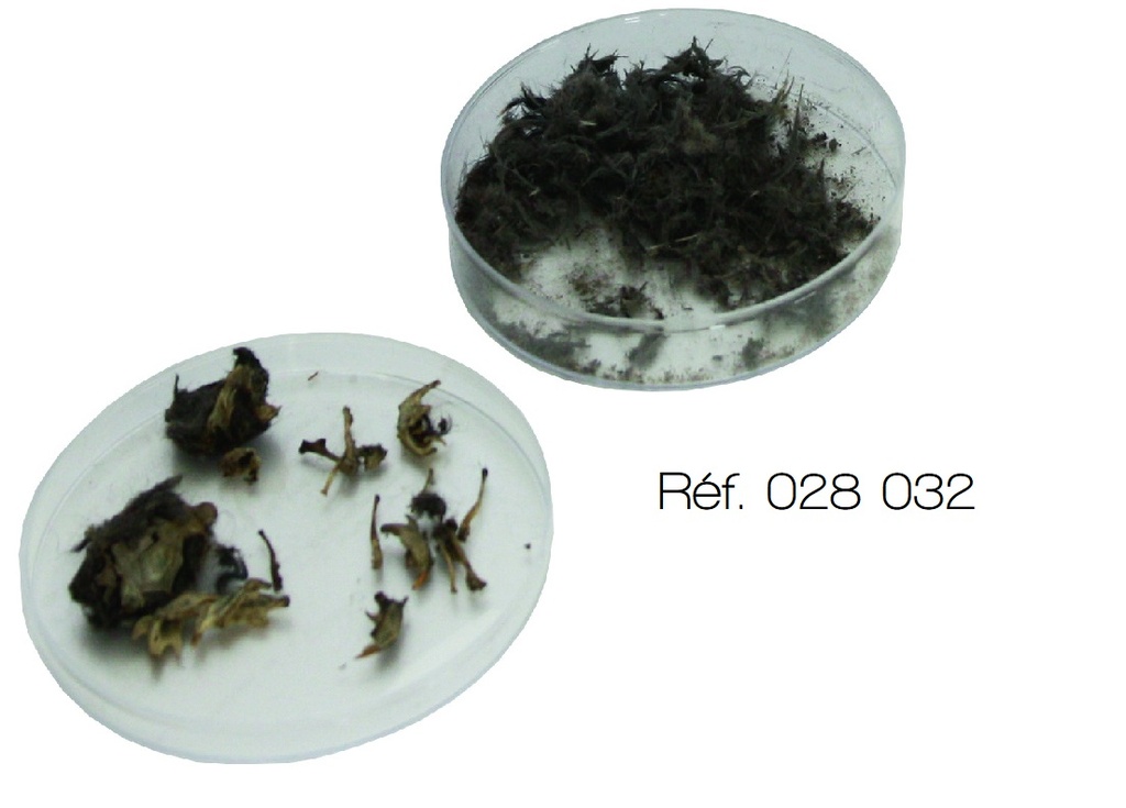 Pelote de réjection