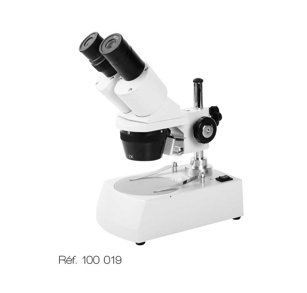 [#100019-S03539] Stéréomicroscope bi-éclairant SM série 20+ 