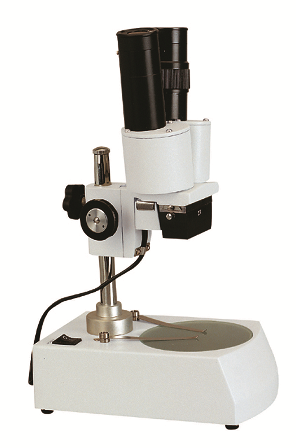 Loupe binoculaire - Stéréomicroscope avec éclairage