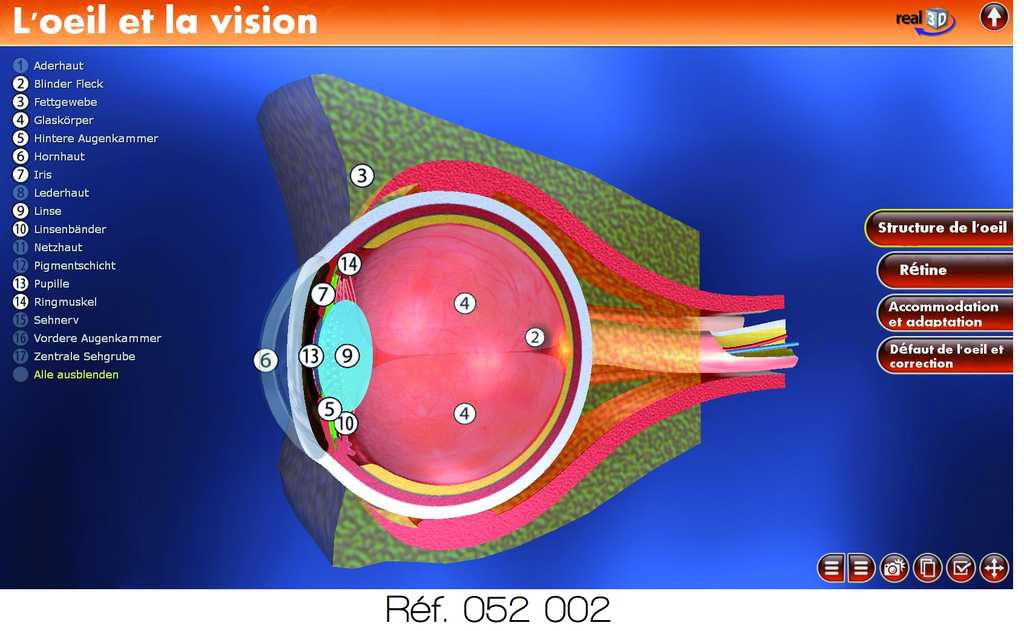 DVD "Modèle interactif 3D"
