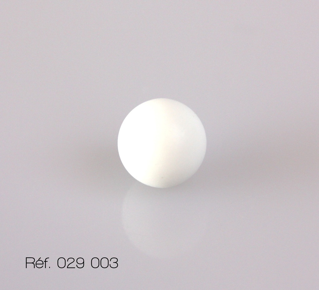 [029003] Boules de couleur (lot de 10) (Blanche)