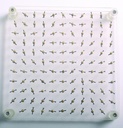 [001004-S03257] Spectre magnétique 2D - 150 x 150 mm