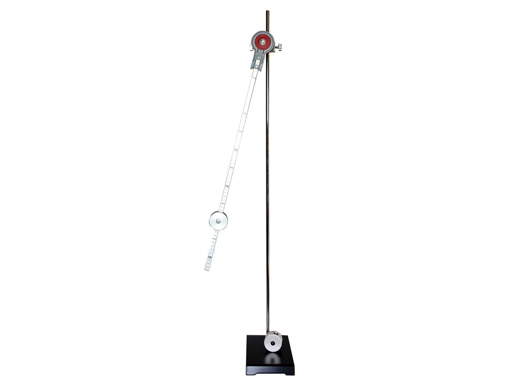 [#002041] Dispositif pendule pesant