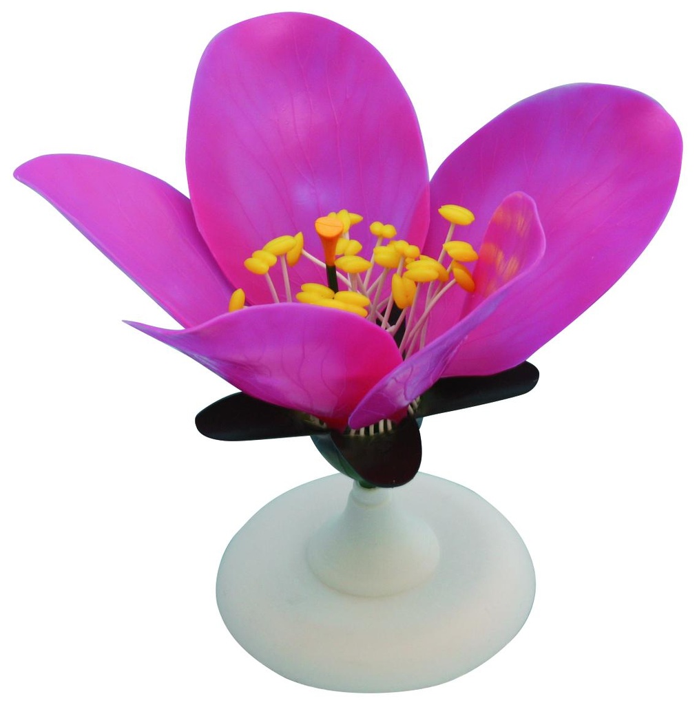 [#020015-S66454] Modèle fleur de pêcher