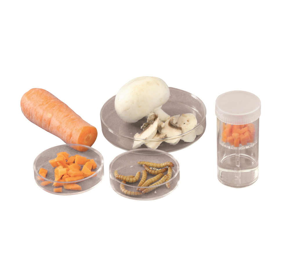 Enceintes mise en évidence de la respiration - Lot de 6