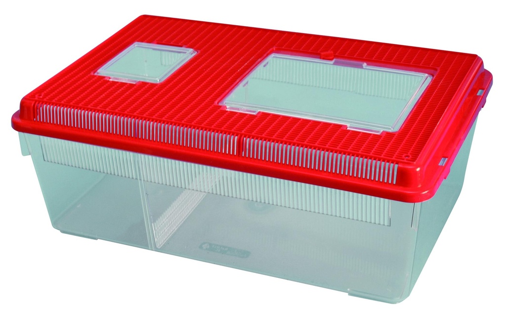 [#024005] Vivarium