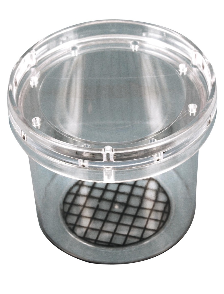 [#024031] Boîte à insectes avec couvercle loupe