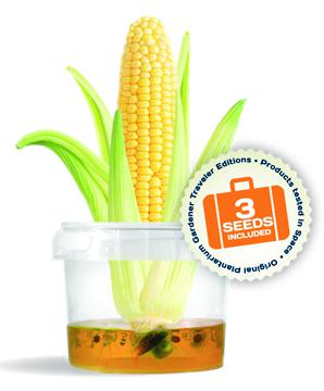 Kit culture sur gel : plantes à travers le monde