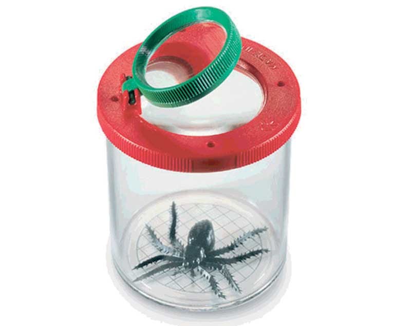 [#024052-S65335] Boîte à insectes couvercle avec 2 loupes