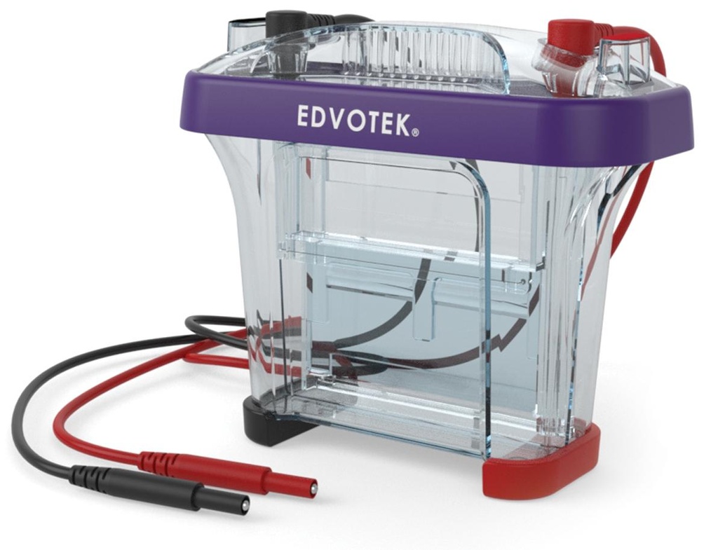 Cuve pour électrophorèse des protéines Edvotek