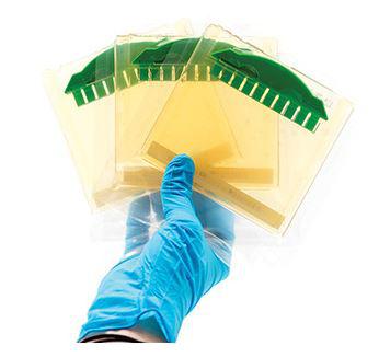 Gels de polyacrylamide (lot de 3)