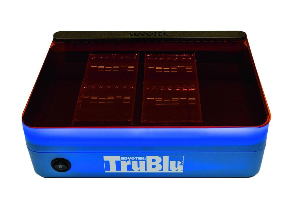 Transilluminateur lumière blanche ou bleue Edvotek