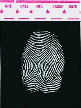 Lamelles acétate noires (lot de 24)
