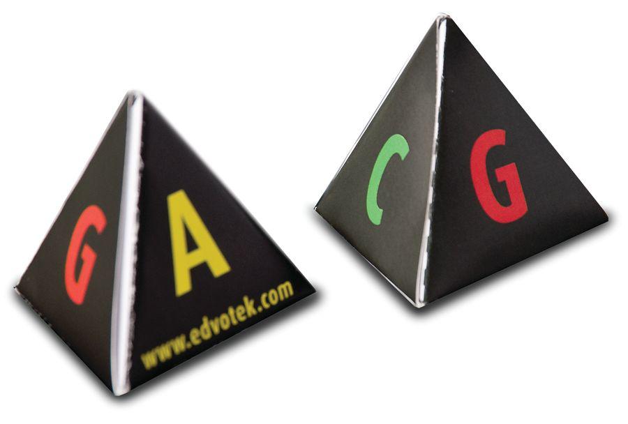 Jeu : la biologie moléculaire