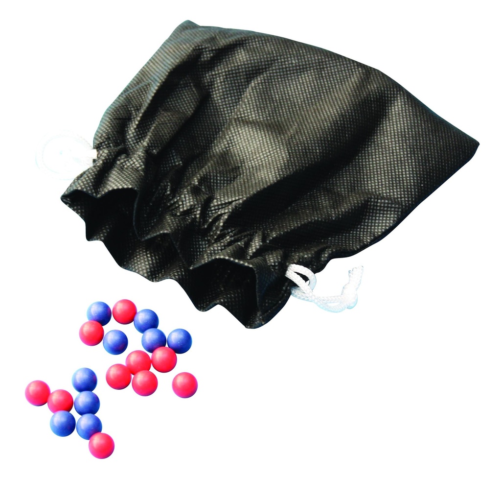 Ensemble pour étude de la dérive génétique - 2 allèles