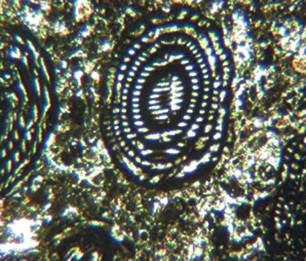 Lame de roche éruptive et plutonique : Andésite de Volvic