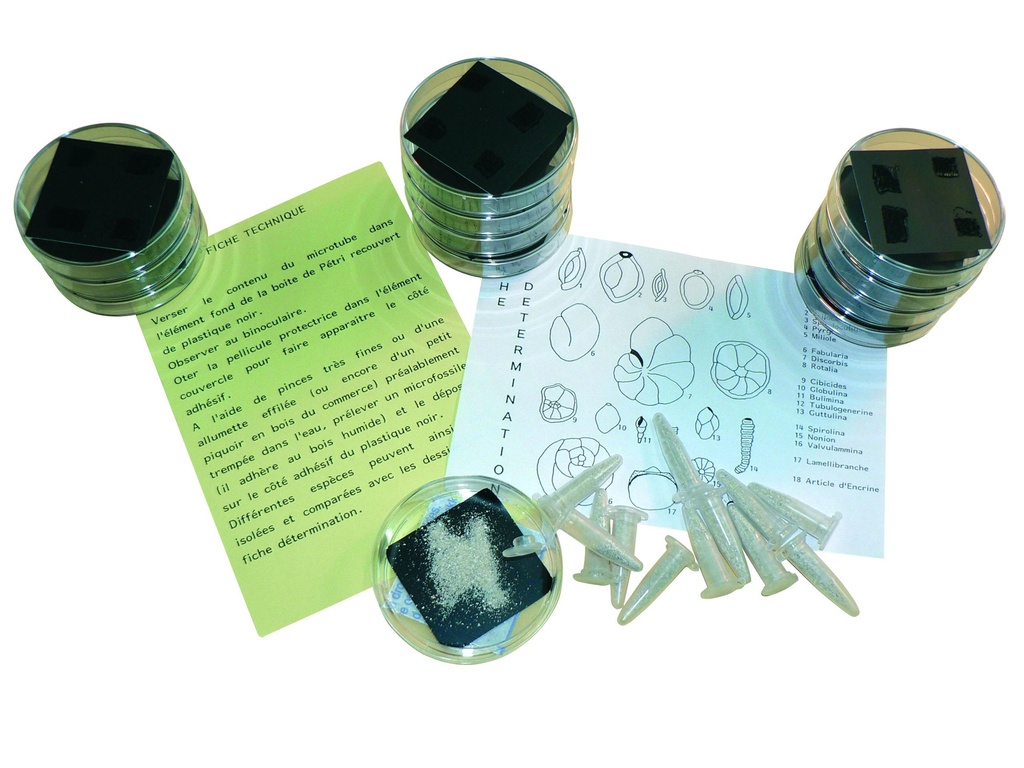 Kit de TP : Microfossiles (lot de 12)