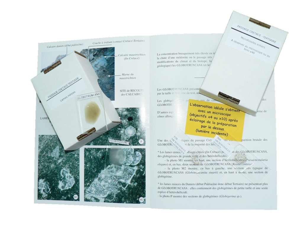 Kit de TP : Passage Crétacé-Tertiaire