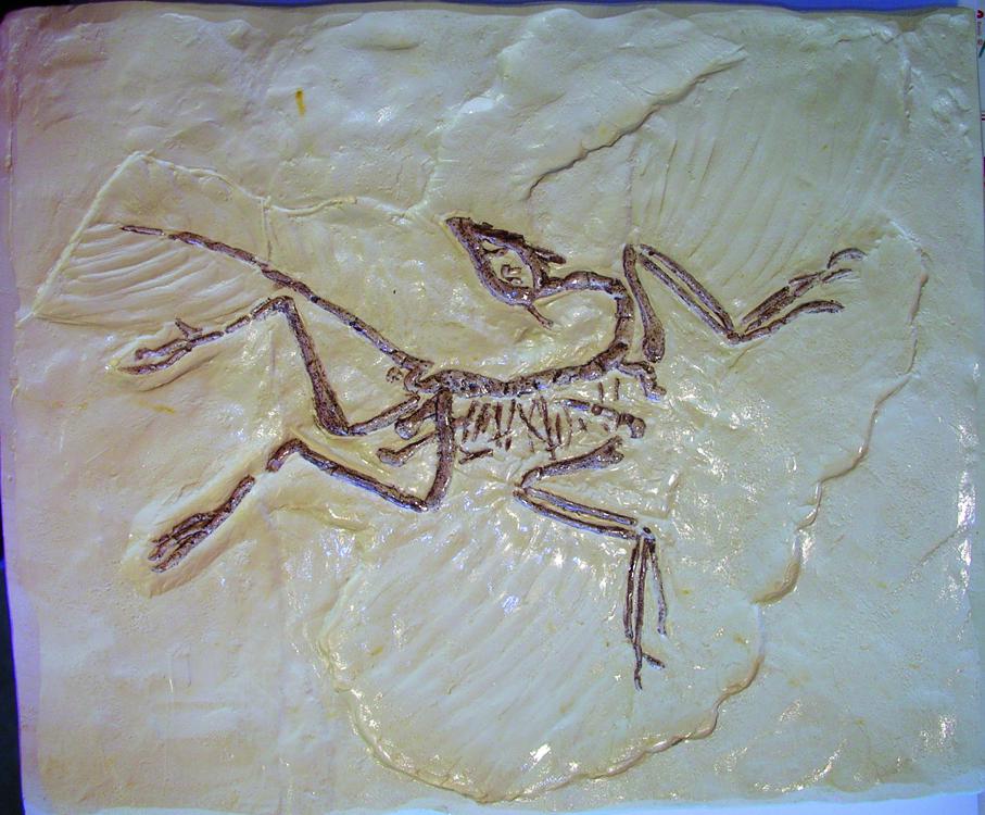 Moulage Archéoptéryx du Jurassique 