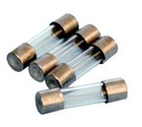 [107039] Fusibles pour microscope Euromex - 250 V / 1 A (lot de 10)