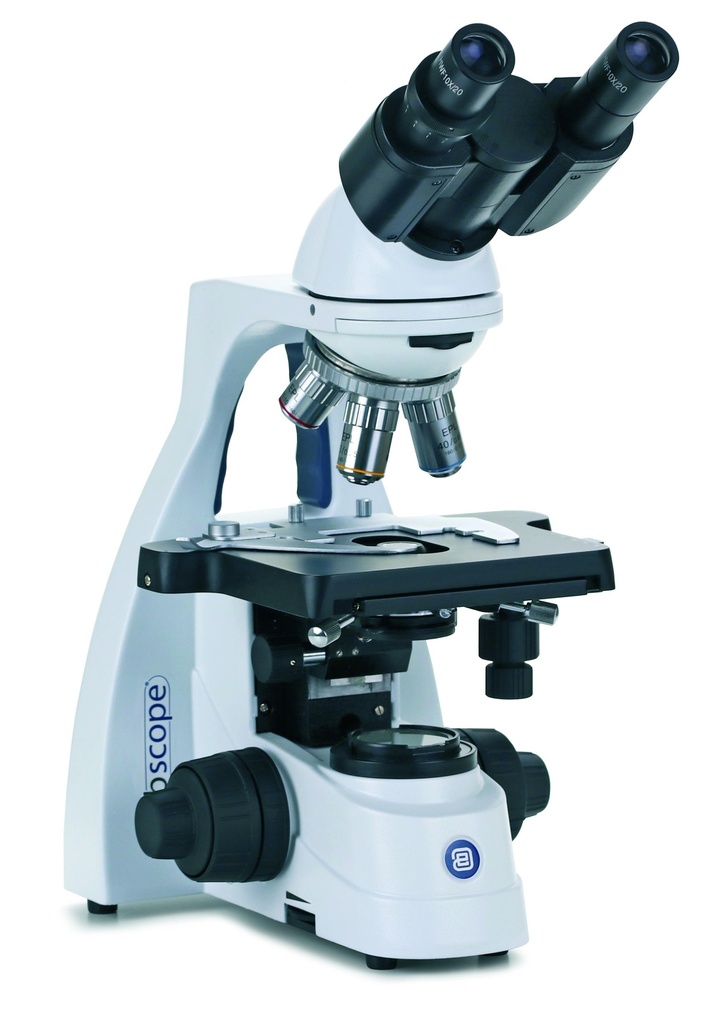 [#110109-S01301] Microscope binoculaire BScope E-plan