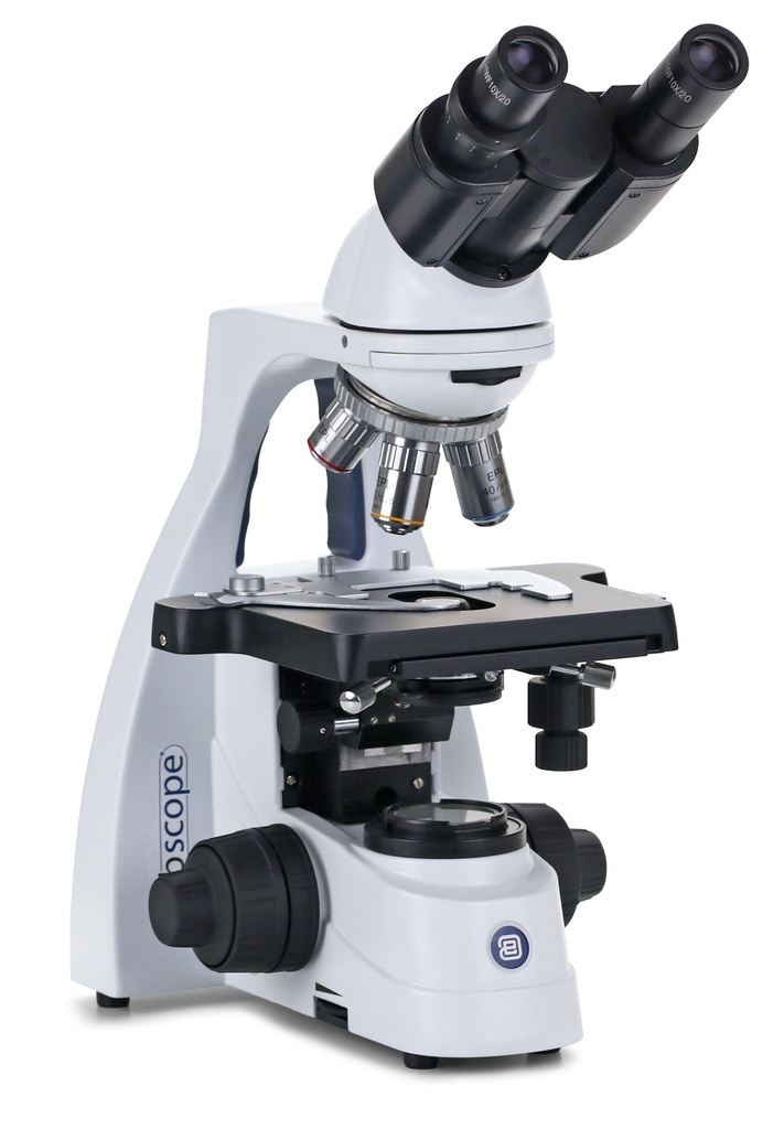Microscope binoculaire BScope E-plan corrigé à l'infini