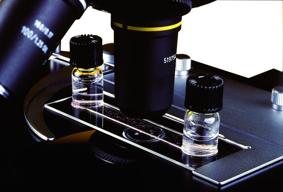 Chambre d'observation microscopique