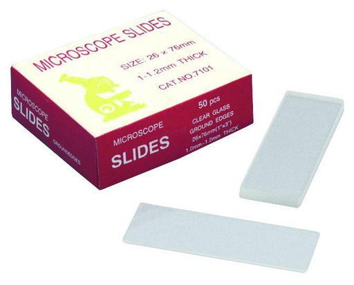 Lames porte-objet (lot de 50)