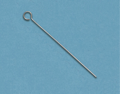 [412002] Anses d'inoculation pour manche de Kolle - bout en forme de cercle - lot de 20