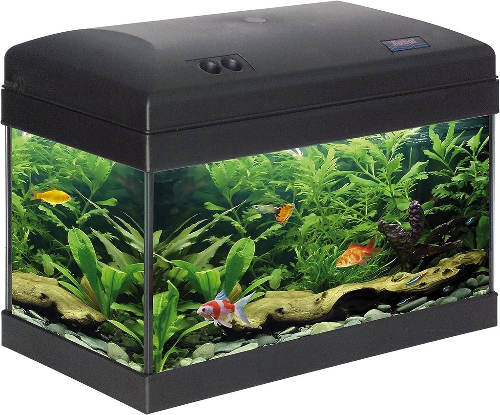 Aquarium 21 L avec éclairage et accessoires