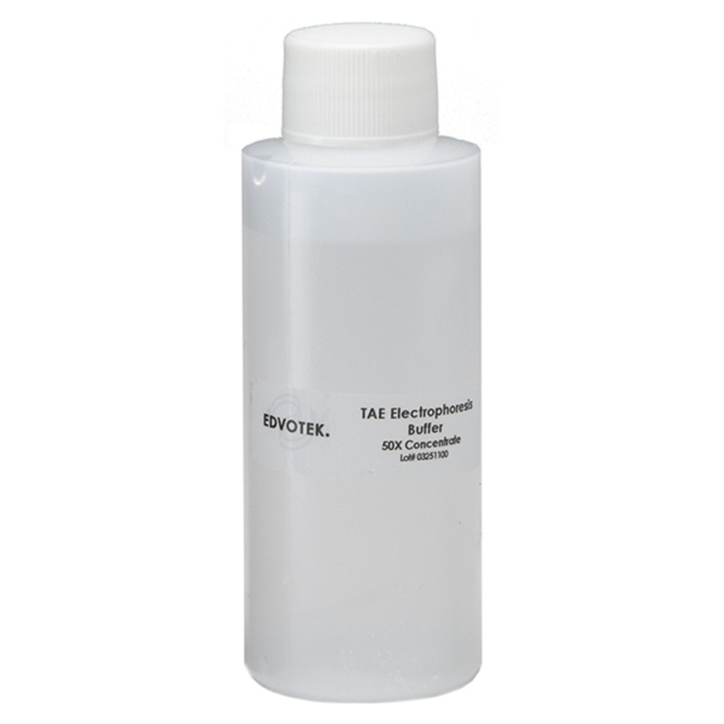 Tampon TAE pour électrophorèse  - 100 mL