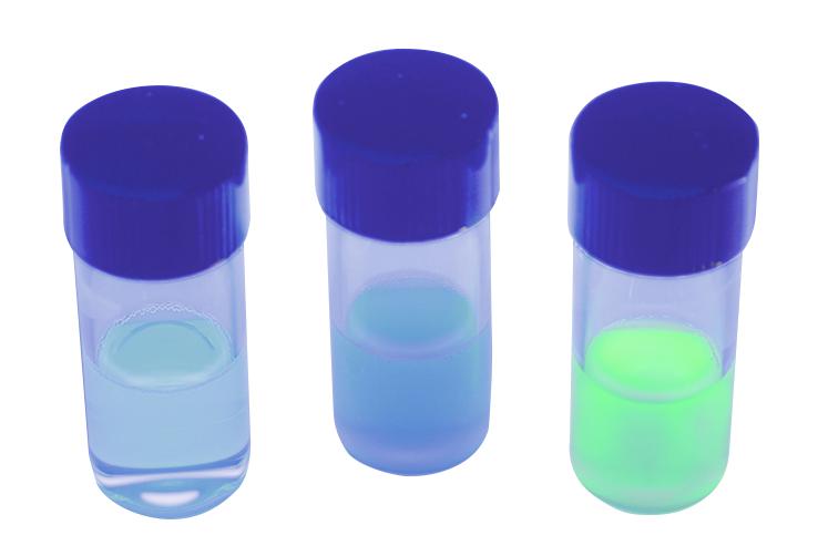 ** Kit de TP - Qualité de l'eau : analyse chromogénique des contaminants bactériens pour 10 groupes