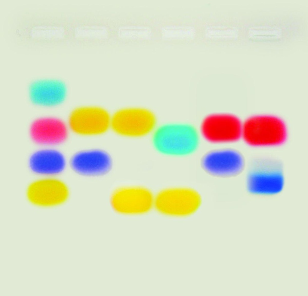 Kit de TP - À la recherche de mon père Edvotek