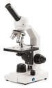 Microscope monoculaire Novex FL-100-LED New