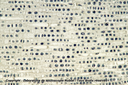 Mitoses - méristème racinaire terminal - Jacinthe - CL - HF - Nublat
