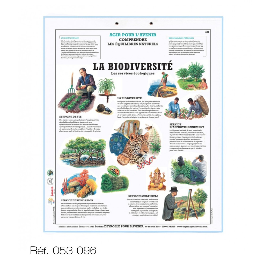 [053096] Affiche "Deyrolle pour l'avenir" - Format 66x80 cm (La biodiversité )