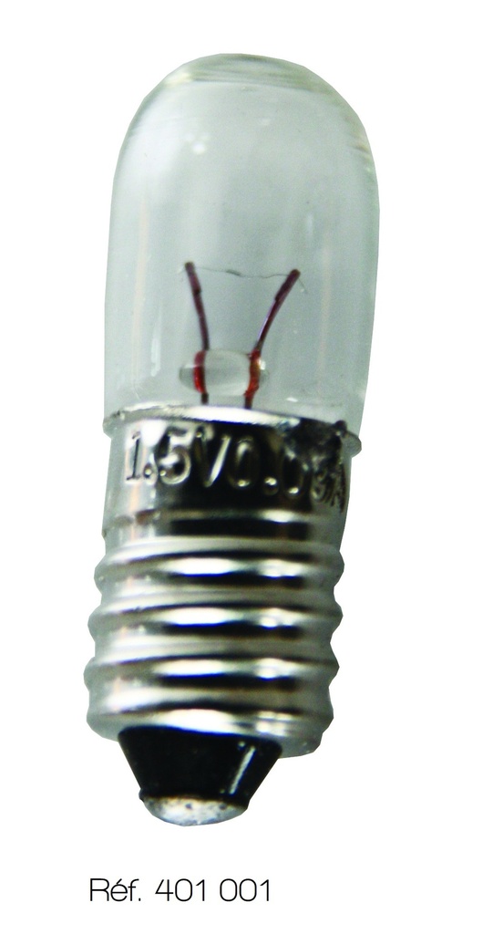 Ampoules E10 (lot de 25)
