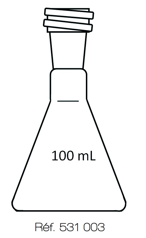 [531003-S57204] Erlenmeyer VB 3.3 - 100 mL - Rodaviss® (19/26)