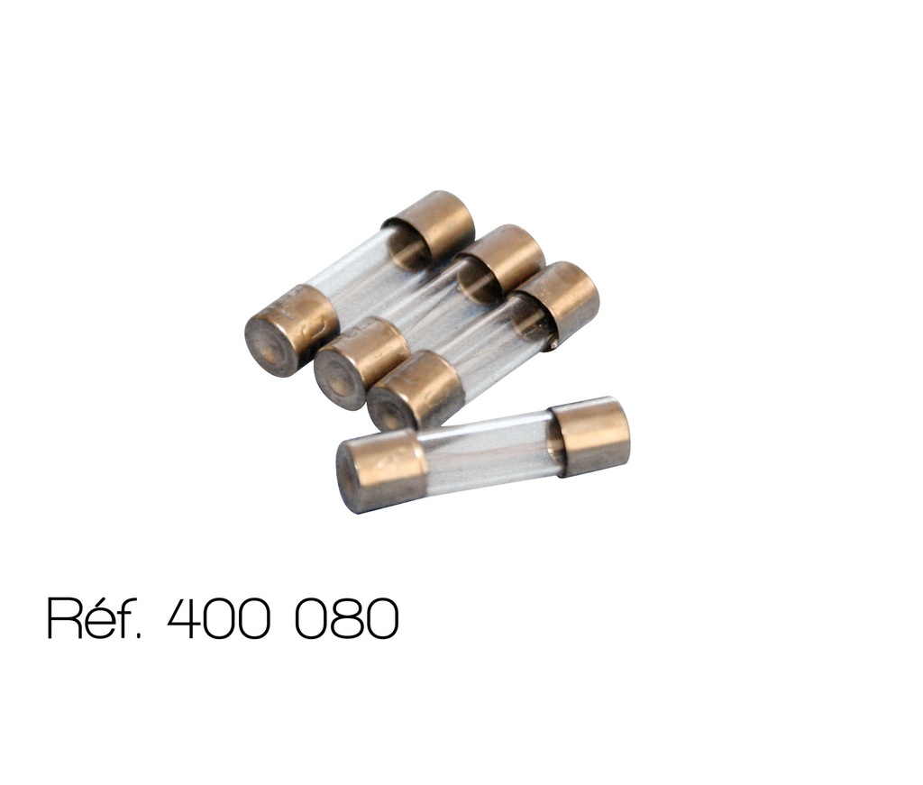 [#400080-S02100] Fusibles rapides 5 x 20 mm - Lot de 10 (100 mA - 250 V)