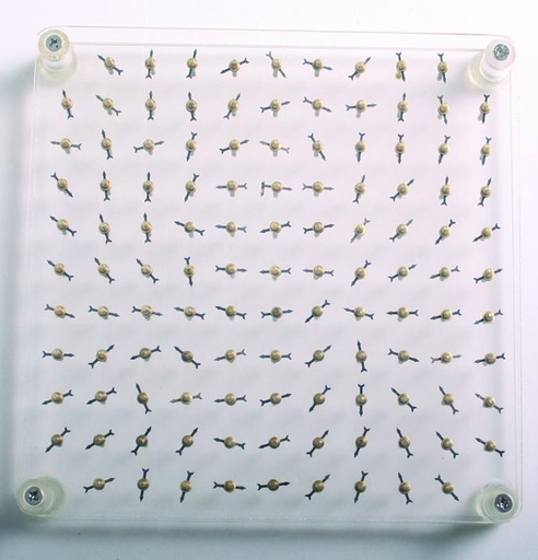 [001004-S03257] Spectre magnétique 2D - 150 x 150 mm