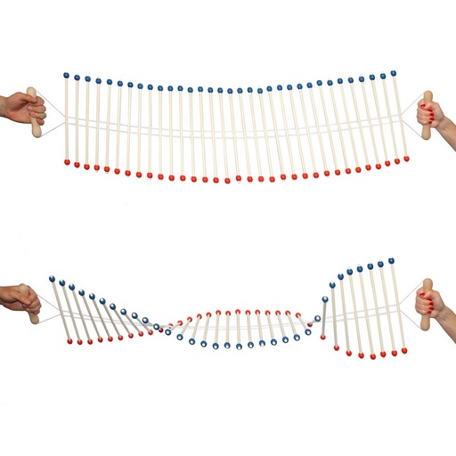 [002078-S58214] Échelle de perroquet manuelle - Ondoscope