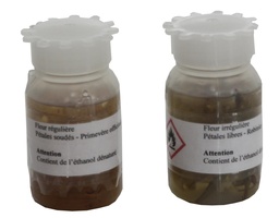 [020089] Dissection de boutons floraux