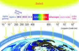 [023018] Cartes de détection des rayonnements UV (lot de 10)